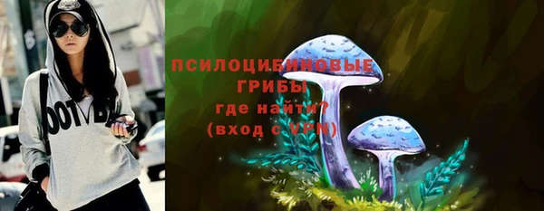 тгк Краснослободск