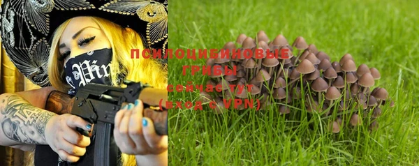 spice Кукмор