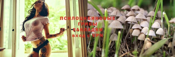 тгк Краснослободск