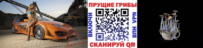 Псилоцибиновые грибы MAGIC MUSHROOMS  Купить закладки  Мостовской 